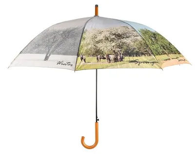 Produktbild von Esschert Design | Regenschirm | 4 Jahreszeiten | Ø122 cm