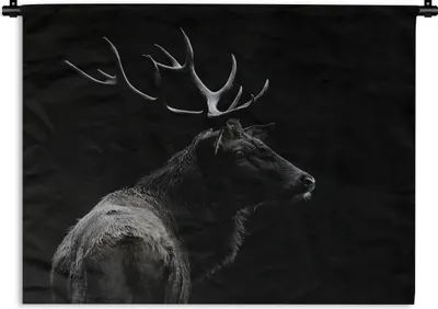 Produktbild von MuchoWow® Wandteppich Wandbehang Hirsch - Schwarz - Porträt - Geweih - Tiere 60x45 cm Tapisserie Dekoration Wandtuch - Das Schlafzimmer