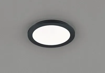 Obrázek produktu pro TRIO reality R62921532 Camillus Stropní svítidlo 260 mm LED 1×15 W/1350 lm 3000 K IP44 Matná černá, bílá, stmívač
