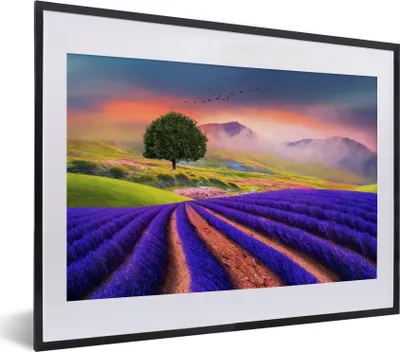 Produktbild von MuchoWow® MuchoWow® Gerahmtes Poster Gemälde eines Lavendelfeldes 40x30 cm - Poster mit zchwarzem Bilderrahmen - Bilderrahmen - Poster im Rahmen