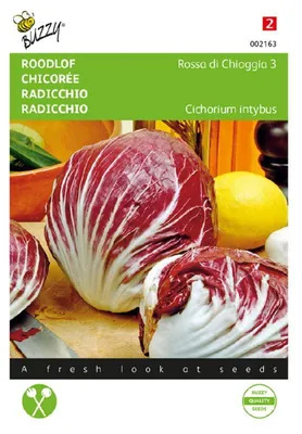 Produktbild von Buzzy Radicchio Rossa di Chioggia 3
