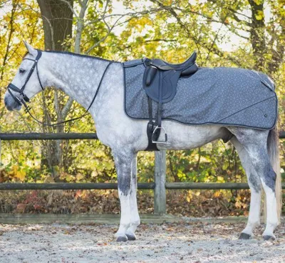 Image de Couvre-reins d'équitation QHP 1200D Turnout Collection Fleece