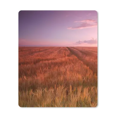 Produktbild von MuchoWow® Mauspad Mousepad Wiese - Sonne - Abend - Landschaft 30x40 cm - Mousepads - Maus Mat - Pad - Mausunterlage - Mausmatten
