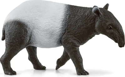 Immagine prodotto di Schleich Wild Life Tapiro