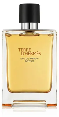 Immagine prodotto di Hermès Terre d'Hermès Eau de Parfum Intense Spray (nachfüllbar) (100 ml)