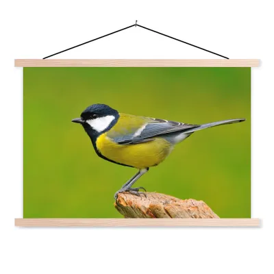 Produktbild von MuchoWow® Textilposter Vogel - Kohlmeise - Tiere - Grün 60x40 cm mit holzfarbenen Rahmen - Bilder