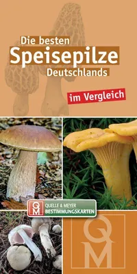 Immagine prodotto di Die besten Speisepilze Deutschlands im Vergleich