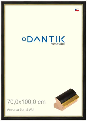 Obrázok produktu pre Rám DANTIK 70x100 | ANIVERSA black AU (Plexi Clear)