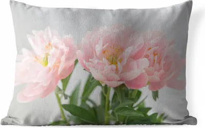 Produktbild von MuchoWow® Outdoor Kissen - Blumenstrauß aus rosa Pfingstrosen - 50x30 cm - Wetterfest - Lounge Kissen - Sofa kissen - Wohnzimmer Dekoration