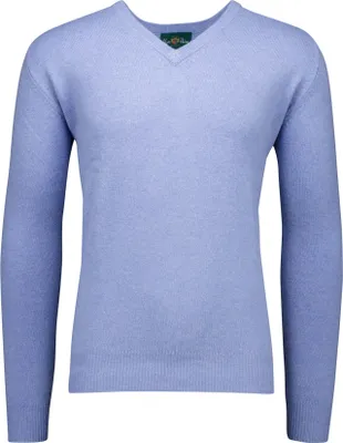 Produktbild von Alan Paine Pullover hellblau Hamfshire Wolle
