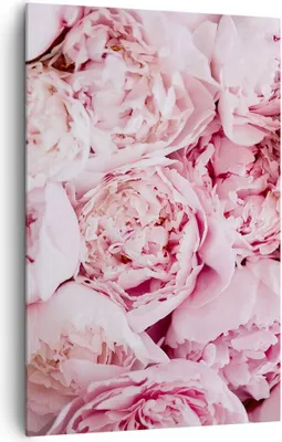 Produktbild von Bild auf Leinwand - Leinwandbild - Einteilig - Blumenstrauß Blumen Rosa - 80x120cm - Wand Bild - Wanddeko - Wandbilder - Leinwanddruck - Wanddekoration - Leinwand bilder - Wandbild - PA80x120-5001