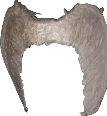 Produktbild von Engelsflügel weiß 50 breit x 35 cm hoch