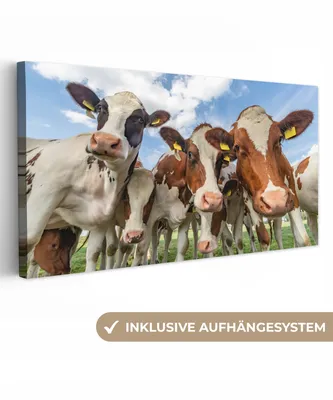 Produktbild von MuchoWow® - Leinwandbilder - Kühe - Tiere - Weide - Natur, Wandbild, Wanddeko Bilder Wohnzimmer, 80x40 cm