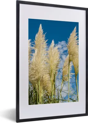Produktbild von MuchoWow® Gerahmtes Poster Pampasgras - Pflanze - Natur 40x60 cm - Poster mit Schwarzem Bilderrahmen Wandposter Rahmen Foto Bilder - Poster in Rahmen
