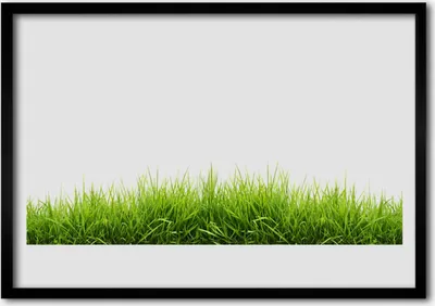 Produktbild von Bild 70x50 MDF-Rahmen Wandkunst Gras Natur Pflanze