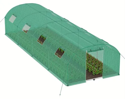 Image de Serre pour tomates - Serre de jardin - Serre pour légumes - Serre de culture - Serre en film plastique - Dimensions : 3 x 6 x 2 mètres - Structure en acier