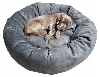 Produktbild von Halkalife Hundebett Wolke Grau 80cm für mittelgroße Hunde