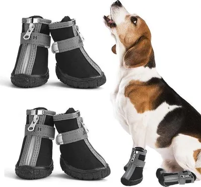 Image de Chaussures pour chien - respirantes et antidérapantes, avec sangles réfléchissantes - lot de 4