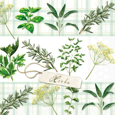 Produktbild von 20 Servietten Herbs - Grüne Kräutersammlung 33x33cm