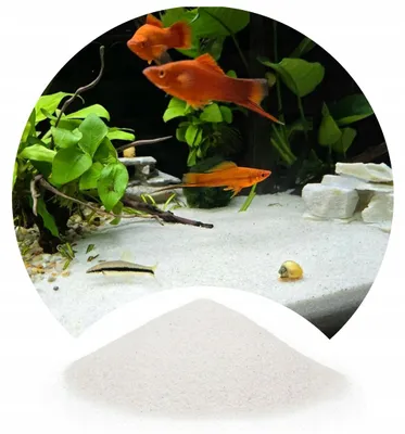 Obrázok produktu pre Akvarijný piesok, 0,5–1 mm, biely, 8 kg