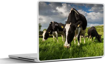 Produktbild von MuchoWow® Laptop Aufkleber Sticker Cover Kuh - Natur - Gras - Tiere 30x21 cm - Sticker für Laptop - Selbstklebend