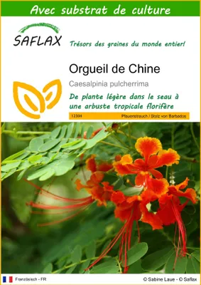 Image de SAFLAX  - Orgueil de Chine - 10 graines - Avec substrat - Caesalpinia