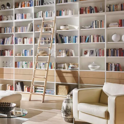 A tall wooden ladder leans against a large bookshelf filled with books and decorative items. Furniture like a sofa and a coffee table are visible in the foreground.