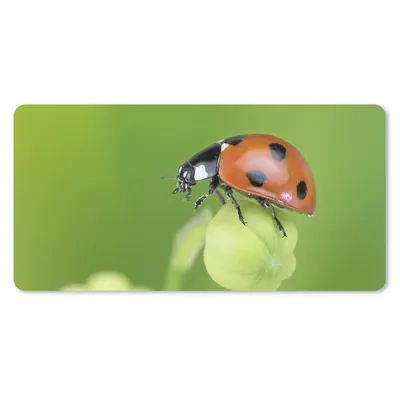 Produktbild von MuchoWow® Mauspad Mousepad Frühling Marienkäfer 60x30 cm - Mousepads - Maus Mat - Pad - Mausunterlage - Nachhaltig