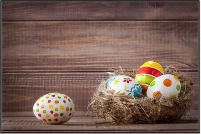 Produktbild von Wallario Wandbild Bunte bemalte Eier an Ostern im Vorgelnest vor hölzerner Wand, Größe: 61 x 91,50 cm, Poster mit schwarzem Aluminiumrahmen