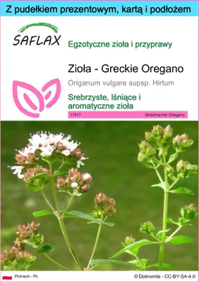 Zdjęcie produktu dla SAFLAX - Zestaw prezentowy - Zioła - Greckie Oregano - 600 Nasiona - Z pudełkiem upominkowym, etykietą wysyłkową, kartą podarunkową i podłożem uprawowym - Origanum vulgare supsp. Hirtum