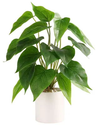 Kunstpflanze Pothos in Keramiktopf, 30 cm, grün, für Innen