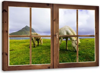 Produktbild von Leinwandbild fenster - blick auf pferde 90x60 cm Feeby grün wandbild bereit zum aufhängen