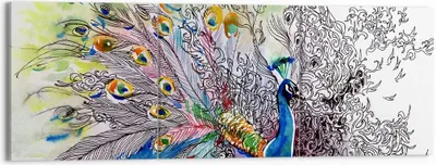 Produktbild von Bild auf Leinwand - Leinwandbild - Pfau Feder Farbe - 150x50cm - Wand Bild - Wanddeko - Wandbilder - Leinwanddruck - Bilder - Kunstdruck - Wanddekoration - Leinwand bilder - Wandkunst - CA150x50-3556