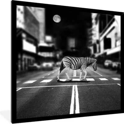 Produktbild von MuchoWow® Gerahmtes Poster Zebrastreifen 40x40 cm - Poster mit Schwarzem Bilderrahmen Wandposter Rahmen Foto Bilder - Mit Rahmen - Wanddekoration Schlafzimmer