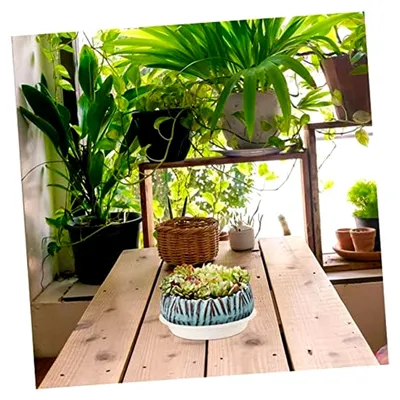 Produktbild von 6 Stück Pflanztopf-Untersetzer aus dickem Kunststoff für Sukkulenten und Bonsai