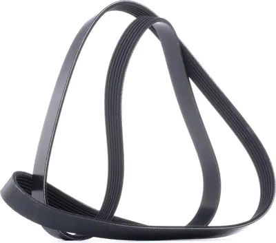 Produktbild von DAYCO Keilrippenriemen 1600,0mm für VW GOLF VI (5K1) 6PK1600