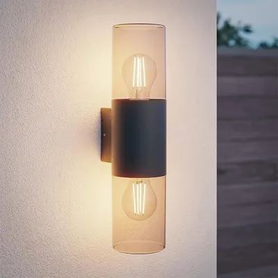 Image de HOFTRONIC - Applique murale LED Up & Down E27 IP44 Noir Verre fumé