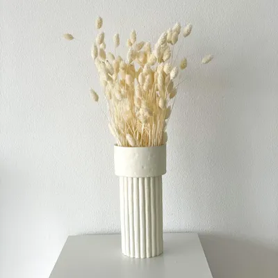 Produktbild von Lykke&You Phalaris I Kanariengras: Vielseitiger Allrounder für Deine Trockenblumen-Dekoration, hellblau / 60 cm