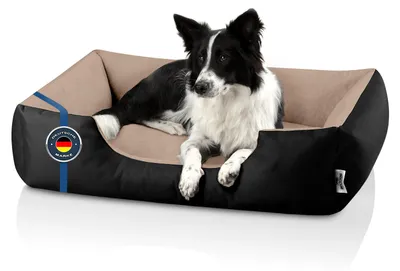 Produktbild von BedDog Hundebett LUPI Hundesofa Hundekissen waschbar,NAMIB-BLACK (schwarz/beige),(L) ca. 80x65x18cm
