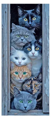 Diamond Painting Katze 50×110 cm, XXL Tiermotiv, DIY-Set