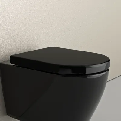 Produktbild von BERNSTEIN Duroplast WC-Sitz U1002 Schwarz mit LED-Beleuchtung & Soft-Close-Funktion – Antibakteriell, Take-Off, Passend für D-Form Toiletten