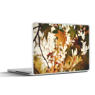 Produktbild von MuchoWow® Laptop Aufkleber Sticker Cover Natur - Herbstblätter - Rustikal 36.5x27.5 cm - Laptop-Sticker