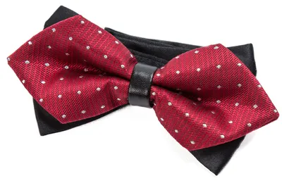 Produktbild von DonDon spitze Herren Fliege Schleife im Retro Look mit Haken gebunden vorgebunden und längenverstellbar rot mit silbernen Punkten