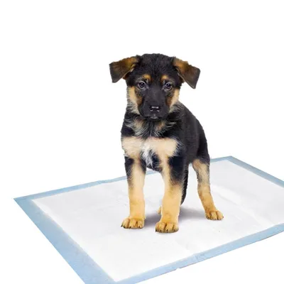 Produktbild von Karlie Puppy Pads Trainingsmatte Welpen-Unterlage, S (35x45cm), 1Pack/10 St.