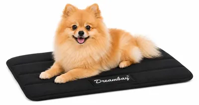 Image de lit pour chien - coussin pour chat, orthopédique, Dreambay®, noir - tapis de sol imperméable pour chien