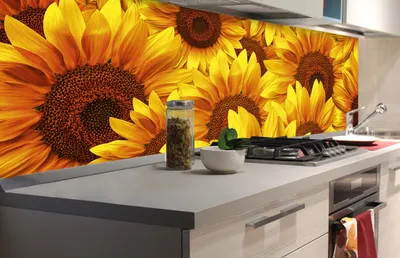 Produktbild von Küchenrückwand Folie selbstklebend SONNENBLUMEN 180 x 60 cm - Klebefolie - Dekofolie - Spritzschutz für Küche -