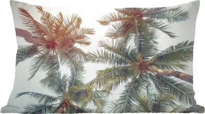 Produktbild von MuchoWow® Zierkissen Sofakissen Wohnzimmer Dekokissen 60x40 cm Palme - Sommer - Tropisch - Kopfkissen - Polster mit Foto