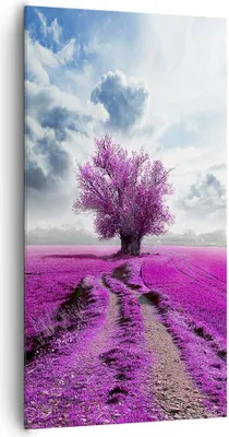 Produktbild von Bild auf Leinwand - Leinwandbild - Heidefeld Baum Wolken Landschaft - 65x120cm - Wand Bild - Wanddeko - Leinwanddruck - Bilder - Kunstdruck - Leinwand bilder - Wandkunst - PA65x120-2547
