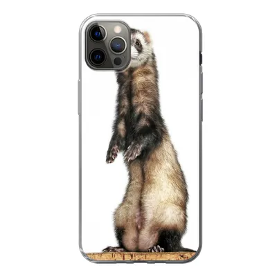 Produktbild von MuchoWow® Handyhülle Schutzhülle Hülle für iPhone 13 Pro Max Frettchen - Tiere - Fell Silikon Softcase Handy Hülle - Mobiltelefon