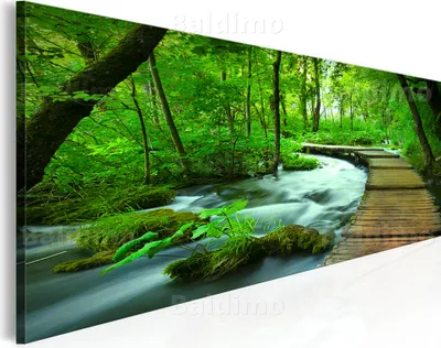 Produktbild von Modernes Wandbild 030212-97 (120x40) - 1 Teilig Bilder Fotografie auf Vlies Leinwand Foto Bild Dekoration Wand Bilder Kunstdruck Natur